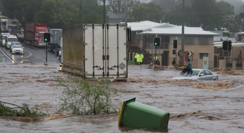 Catastrophic Queensland floods killed 600,000 cattle and devastated native species