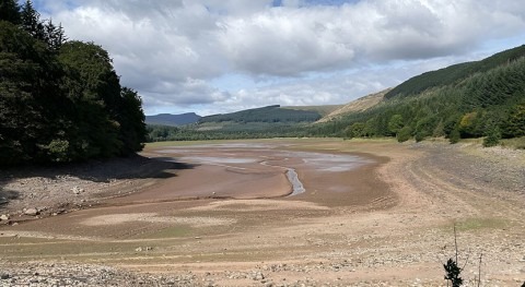 UK's summer 2022 drought provides warning for future years, say scientists