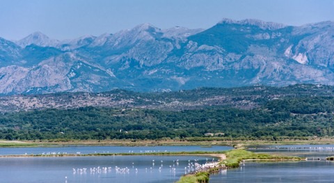 Montenegro names Ulcinj Salina as Ramsar Site