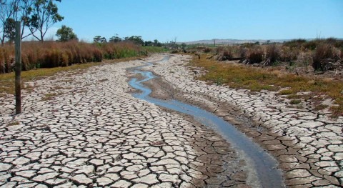 Droughts are threatening global wetlands