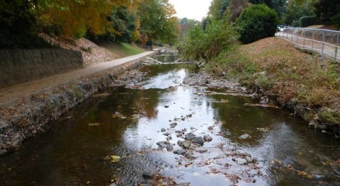 Urban growth in the southeastern U.S. potentially threatens health of small streams