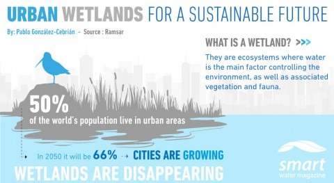 Urban wetlands for sustainable future