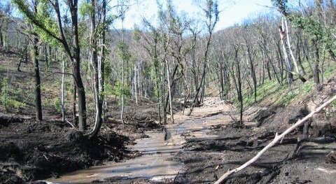 Response to fire impacts water levels 40 years into future