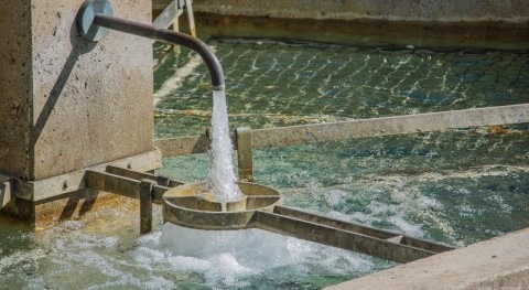 WHO’s new strategy redefines how water and sanitation systems are planned and managed