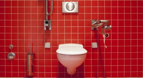 Video: Why flush toilets are wasteful
