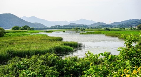 World Wetlands Day 2024: thriving wetlands, thriving humans