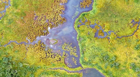 Earth has lost one-fifth of its wetlands since 1700 – but most could still be saved