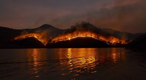 Answers to faster recovery from wildfire are in the water
