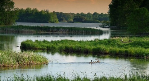 Which wetlands should receive federal protection?