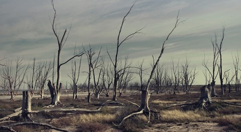 Suicide rates jumped after extreme drought in the Murray-Darling Basin
