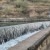 How artificial intelligence (AI) can help optimise irrigation water use