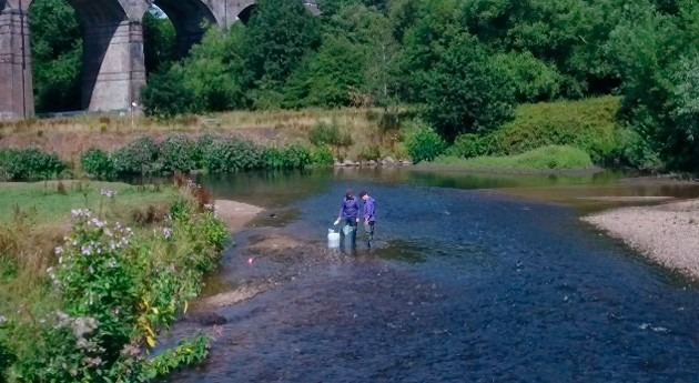 Water companies are main cause of microplastic pollution in UK’s rivers