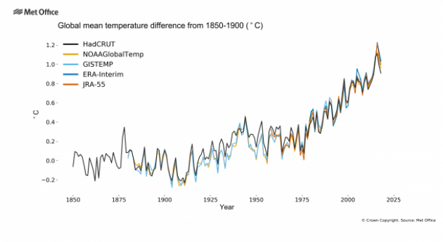 World Meteorological Organization confirms past 4 years were warmest on record