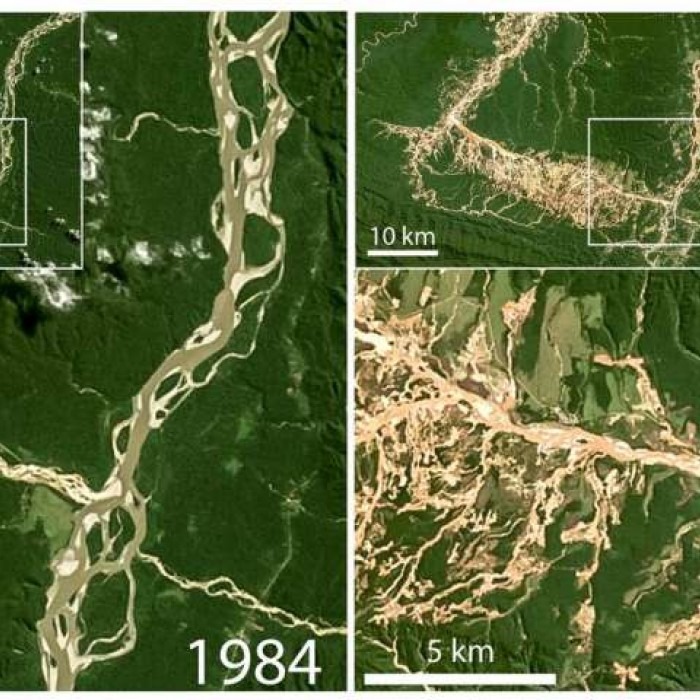 NASA photo shows 'gold' Peruvian  rivers