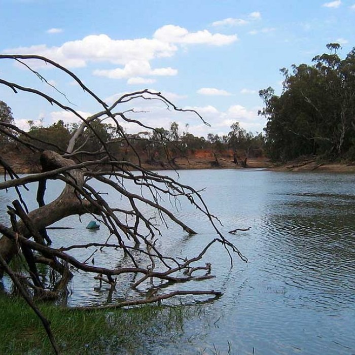 River ecosystem - Wikipedia