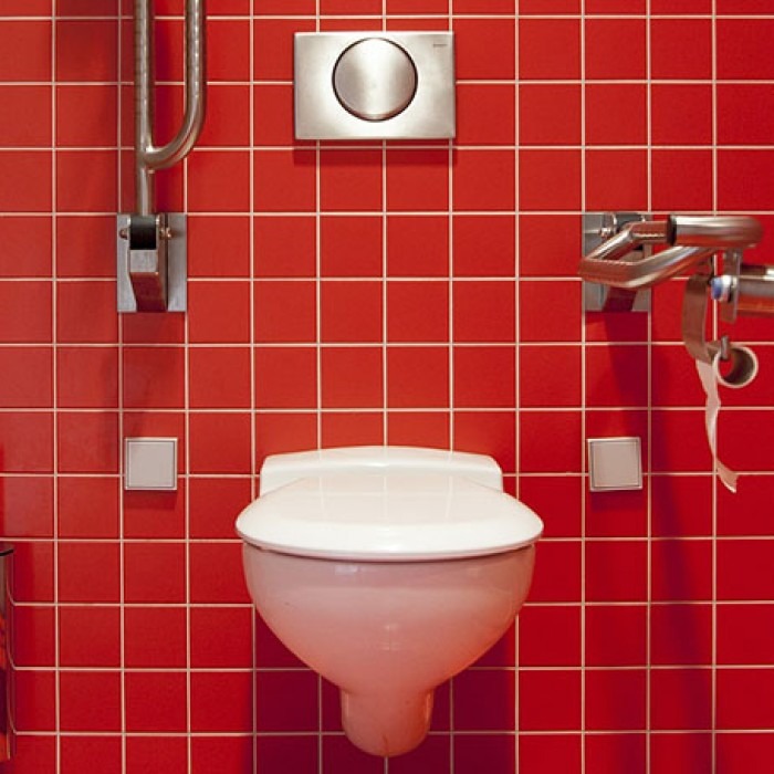 https://smartwatermagazine.com/sites/default/files/styles/thumbnail-700x700/public/toilet.jpg?itok=UHnhevoj