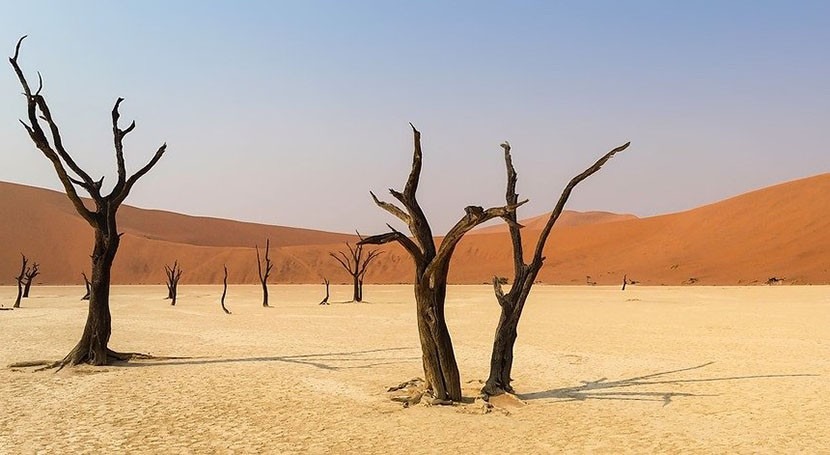 Africa needs investment to tackle climate change, warns WMO