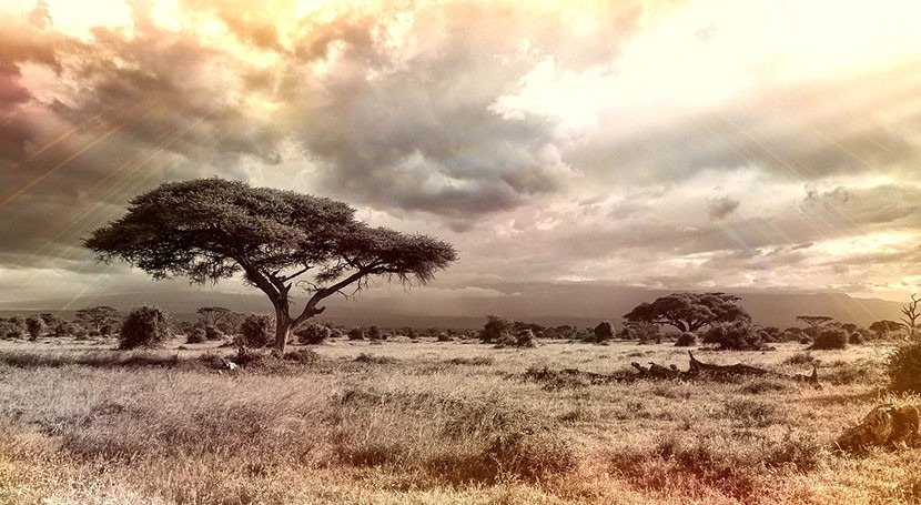 Then vs. now: Did the Horn of Africa reach drought tipping point 11,700 years ago?