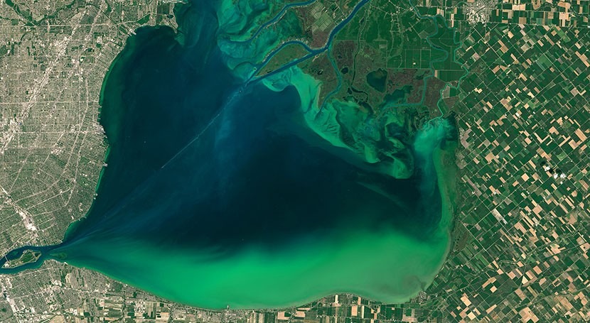 To reduce harmful algal blooms,US needs national strategy for regulating farm pollution