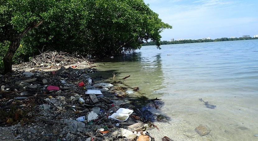 Microplastic pollution threats the world’s coastal lagoons