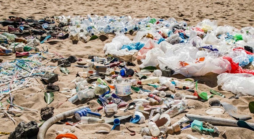 Microplastics, microbeads and single-use plastics poisoning sea life and affecting humans
