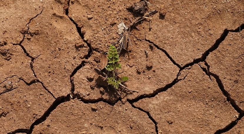 How businesses can be more drought resilient