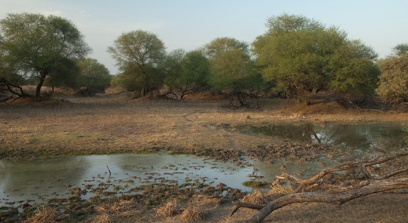 India's pond restoration projects 'could boost water security'