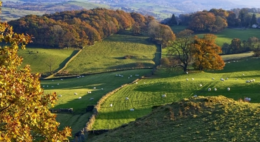 South Downs National Park sets out vision for the future