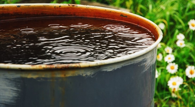 quick guide to rainwater harvesting