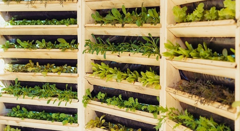 Vertical farming’s role in water-secure future