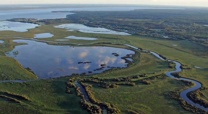 Natural Heritage Conservation Program provides new protection for Canada's wetlands