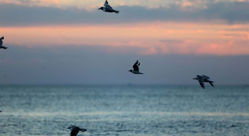 Anglian awards desalination technical contract to TYPSA and Stantec