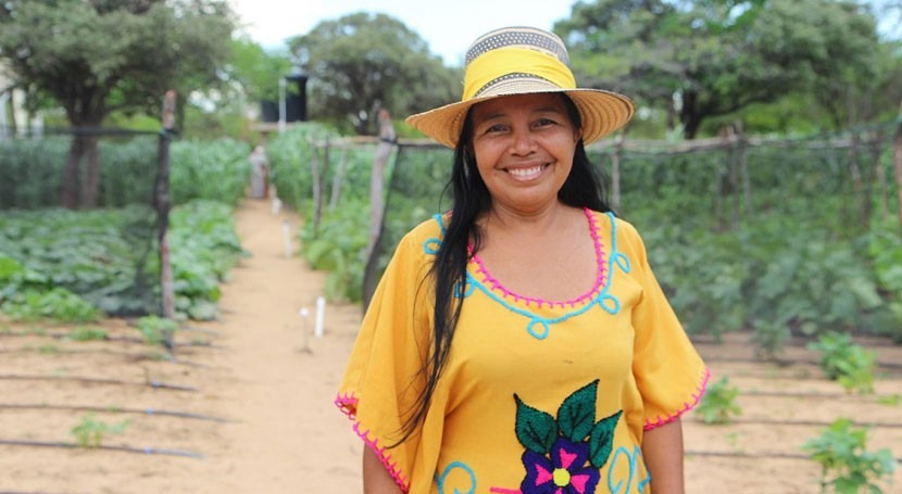 Drip irrigation, sun and solar do 'God's work' and Colombian desert blooms