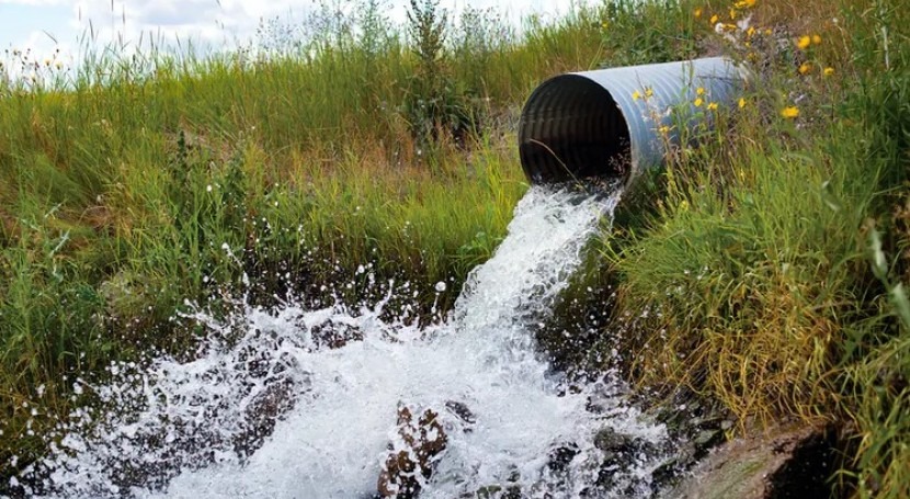 Culverts – the major threat to fish you’ve probably never heard of