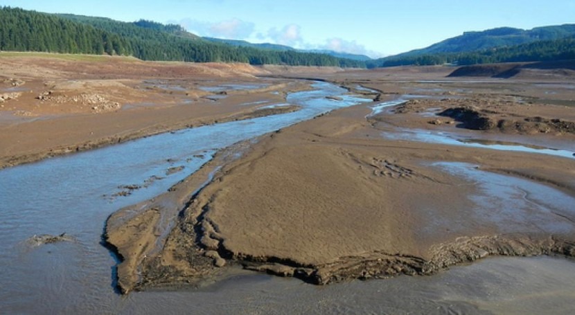 Study finds experimental extreme draining of reservoir has unexpected ecological impacts