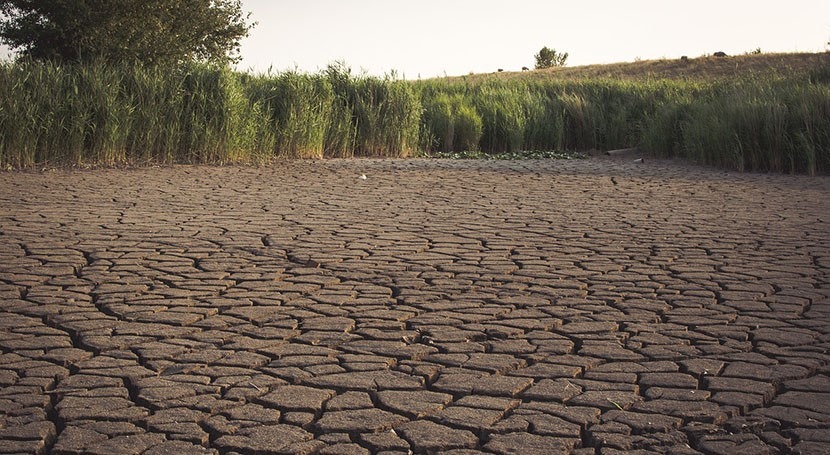 Droughts can make water unaffordable for low-income households