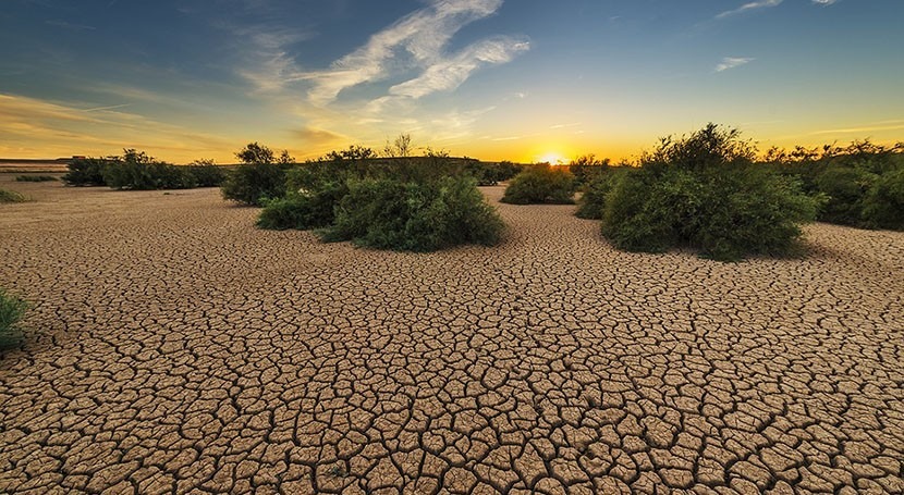 Droughts are associated with increase in suicides