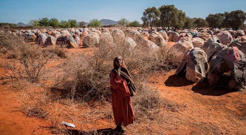 Somalia: US$710M to reach 4.5M people hit by drought