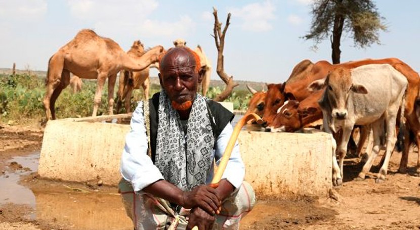 Urgent drought response launched in Somaliland and Kenya