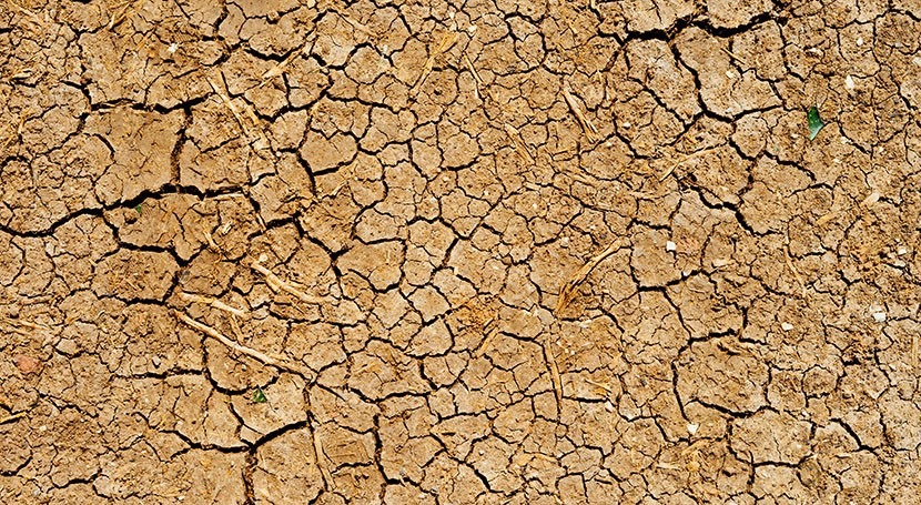 COVID-19 compounding long-term drought effects in southeast Asia