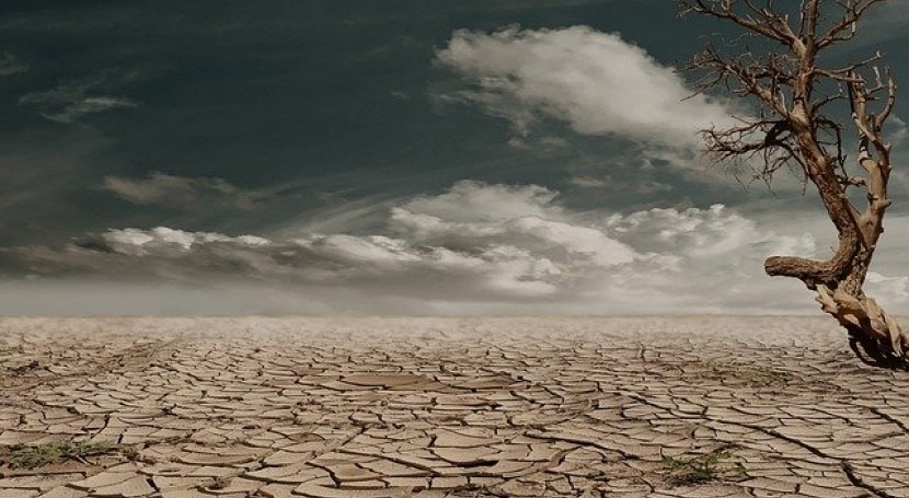 What does drought mean?