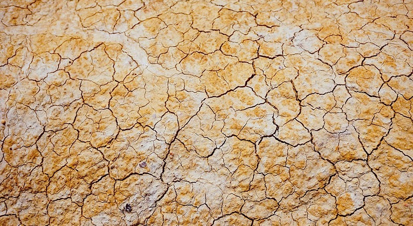 Meteorological drought on global land likely to intensify in the future