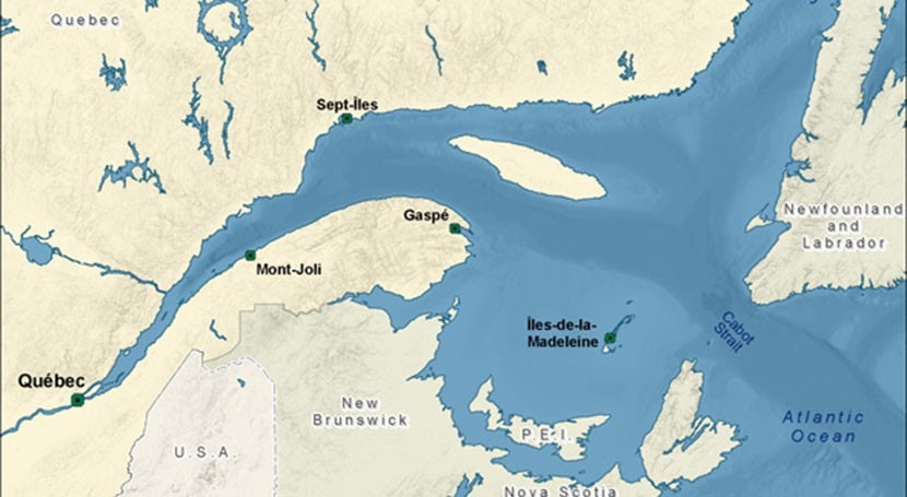 Why the St. Lawrence estuary is running out of breath