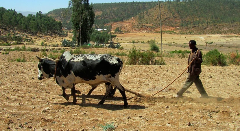 International complacency puts lives at risk as drought hits Horn of Africa