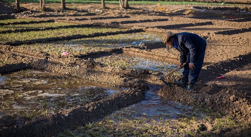 New FAO report finds worsening state of the earth’s soil, land and water resources