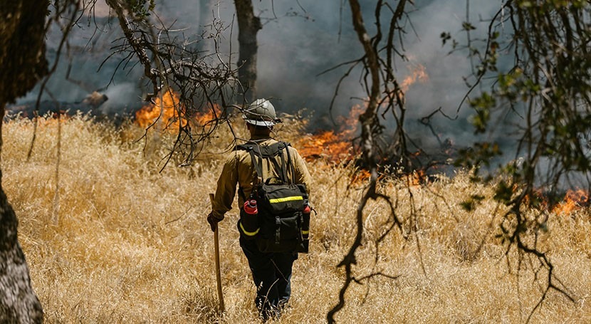 Research brings new focus to strategic monitoring of wildfire impacts on water supplies