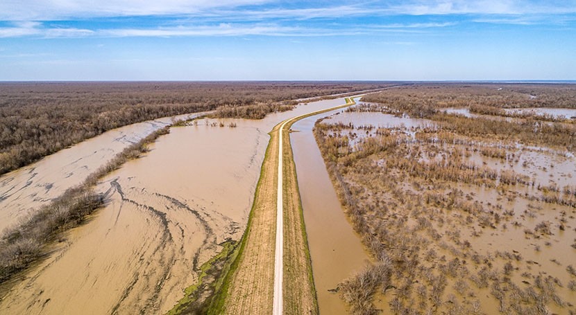 'One of the most extreme disasters in colonial Australian history': climate scientists on floods
