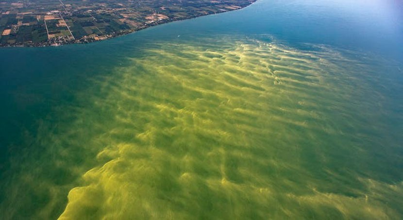 Great Lakes waters at risk from buried contaminants and new threats