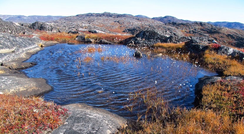 Wetlands conservation and restoration important for climate change resilience in the Arctic