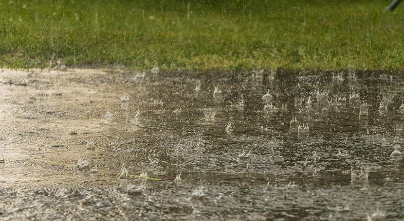 Drought: five ways to stop heavy rains washing away parched soil